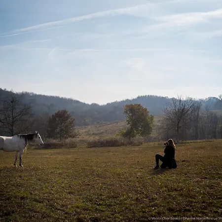 Dharma Horse Shelter & Farmping Kamp alanı Siofok