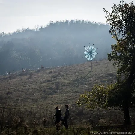 Kamp alanı Dharma Horse Shelter & Farmping Siofok