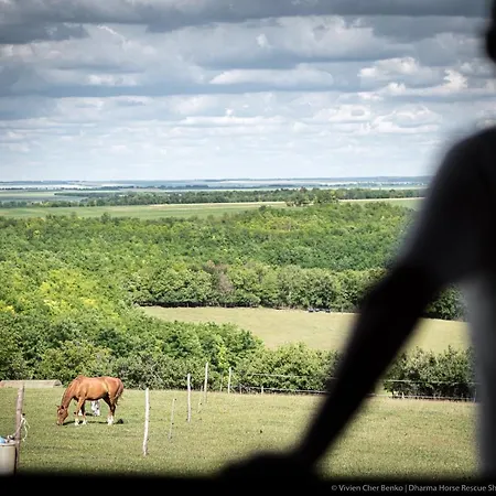 Kamp alanı Dharma Horse Shelter & Farmping *