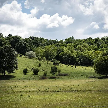 Dharma Horse Shelter & Farmping Kamp alanı Siofok