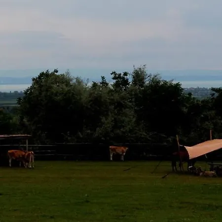 Kamp alanı Dharma Horse Shelter & Farmping *