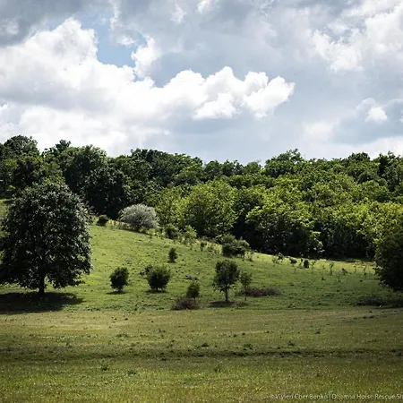 Dharma Horse Shelter & Farmping Kamp alanı *