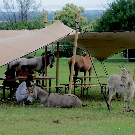 Camping Dharma Horse Shelter & Farmping *