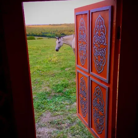 Dharma Horse Shelter & Farmping * Siofok