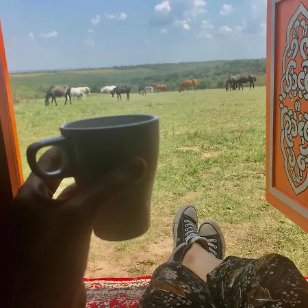 Dharma Horse Shelter & Farmping Kamp alanı *