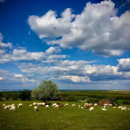 Dharma Horse Shelter & Farmping Kamp alanı Siofok