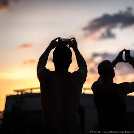 Kamp alanı Dharma Horse Shelter & Farmping Siofok