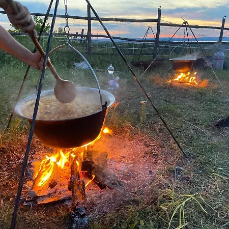Kamp alanı Dharma Horse Shelter & Farmping *