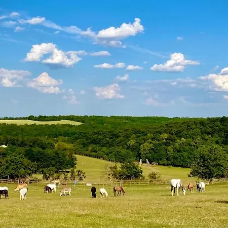 Kamp alanı Dharma Horse Shelter & Farmping