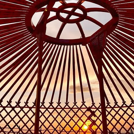 Dharma Horse Shelter & Farmping