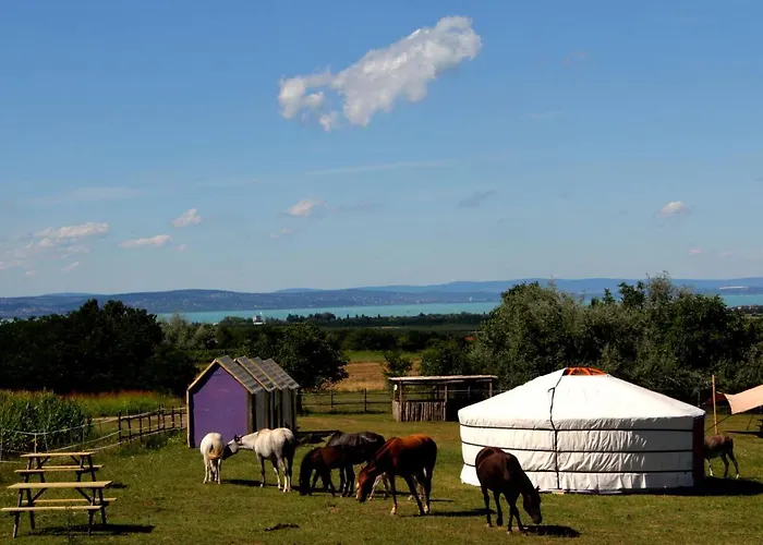 Dharma Horse Shelter & Farmping * Siófok
