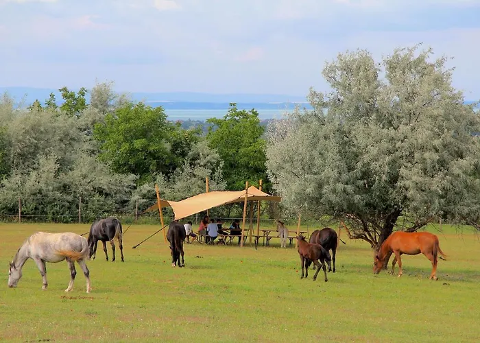 Camping Dharma Horse Shelter & Farmping *